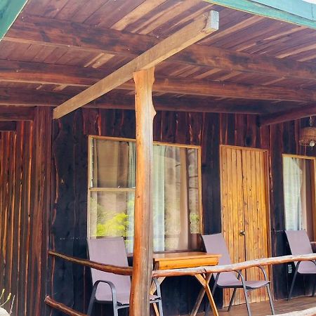 El Toucanet Lodge Copey Dış mekan fotoğraf