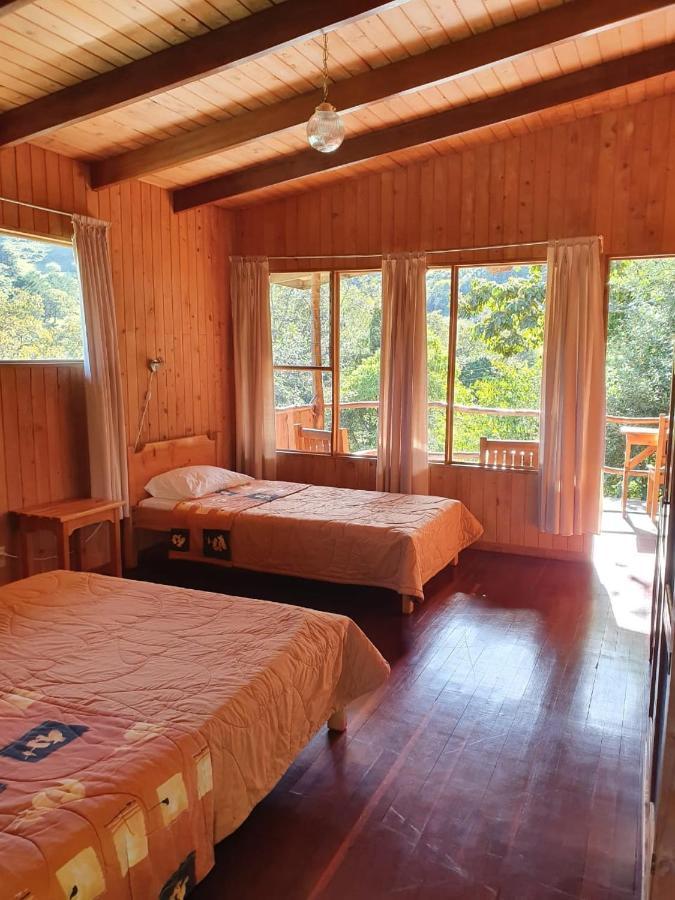 El Toucanet Lodge Copey Dış mekan fotoğraf