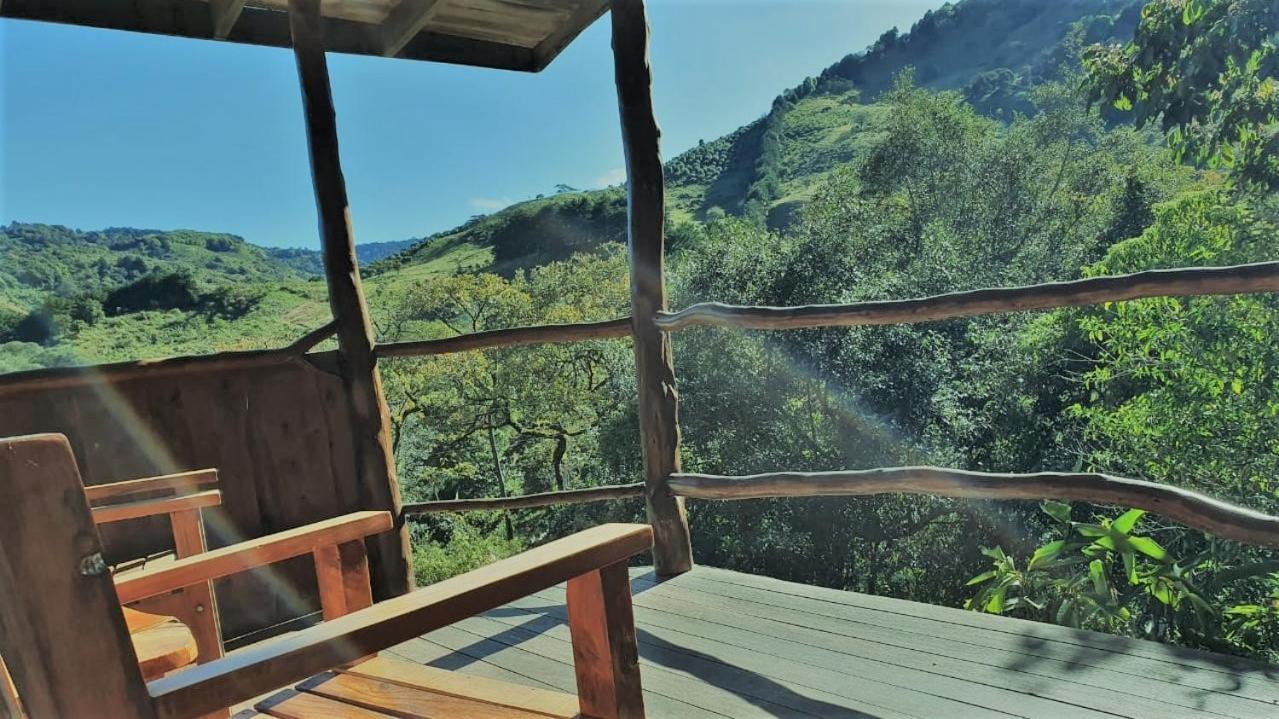 El Toucanet Lodge Copey Dış mekan fotoğraf