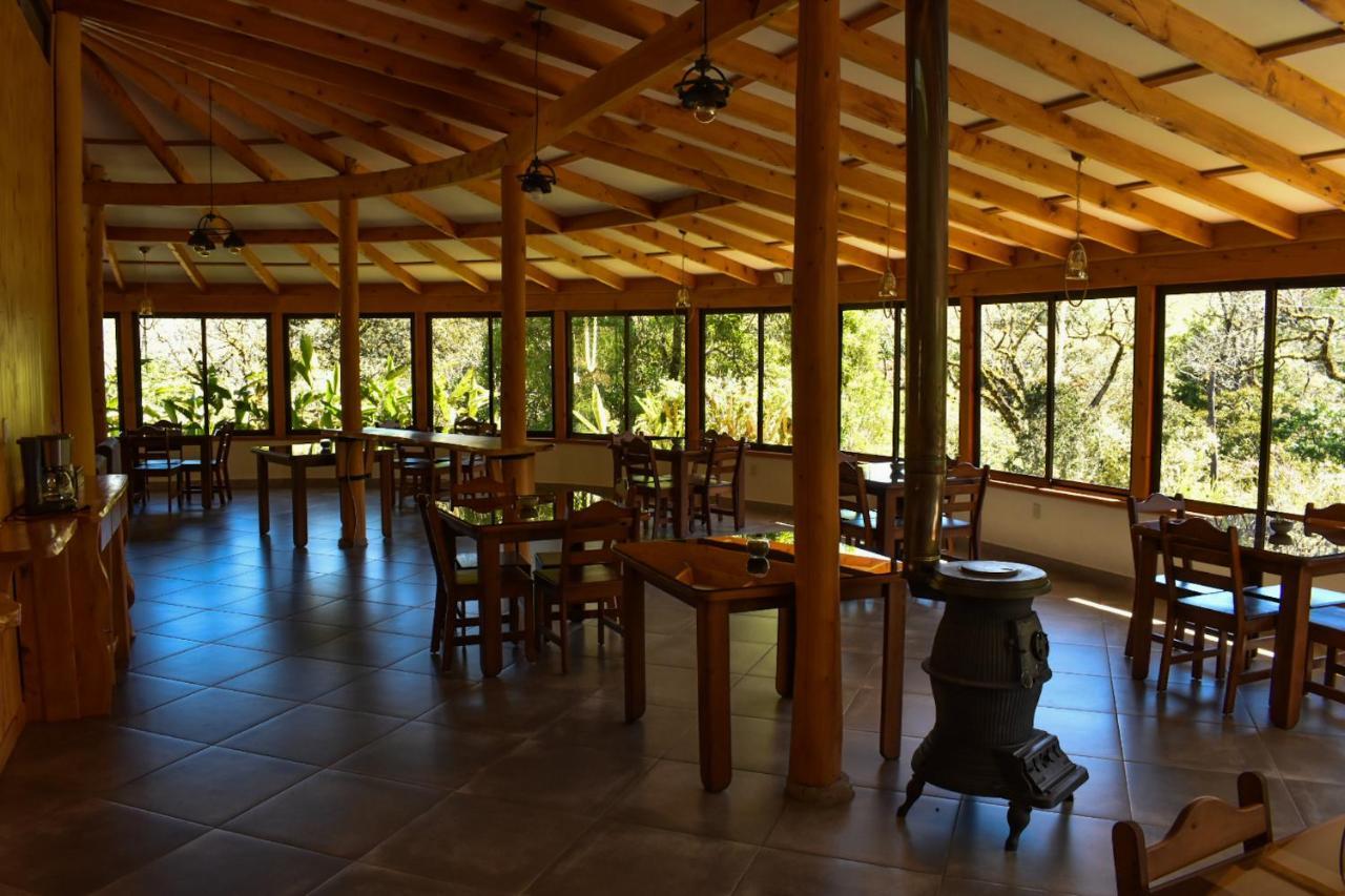 El Toucanet Lodge Copey Dış mekan fotoğraf