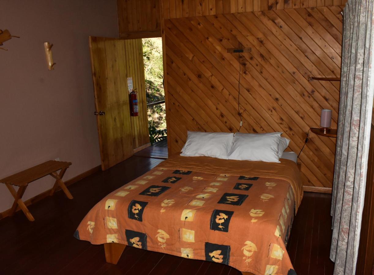 El Toucanet Lodge Copey Dış mekan fotoğraf