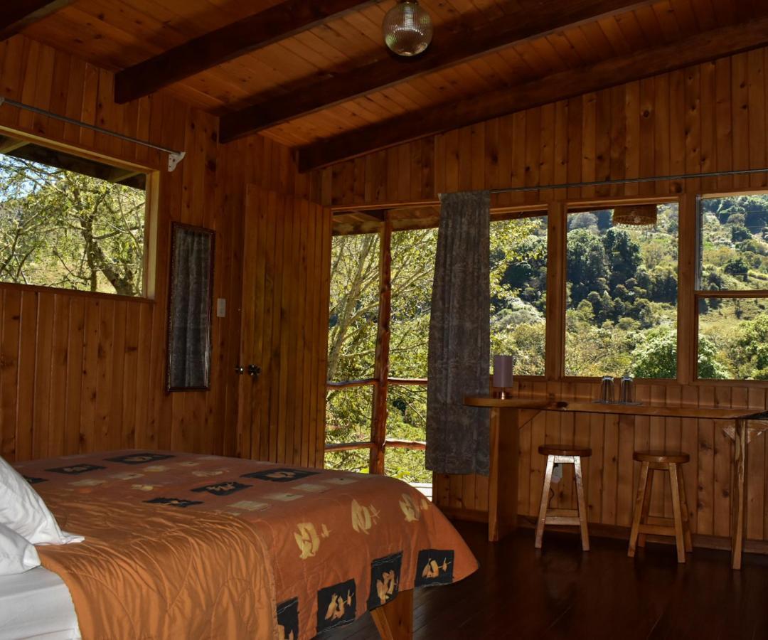 El Toucanet Lodge Copey Dış mekan fotoğraf