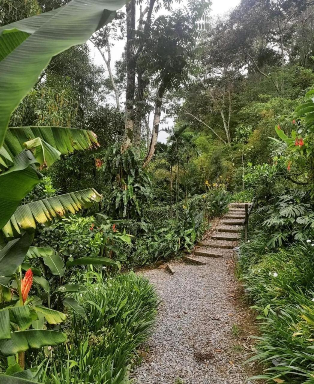 El Toucanet Lodge Copey Dış mekan fotoğraf