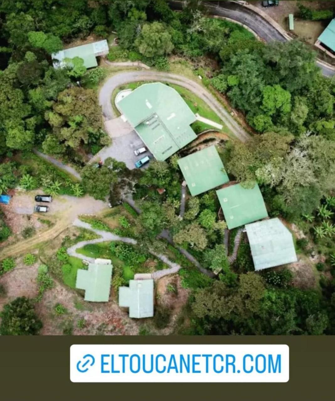 El Toucanet Lodge Copey Dış mekan fotoğraf