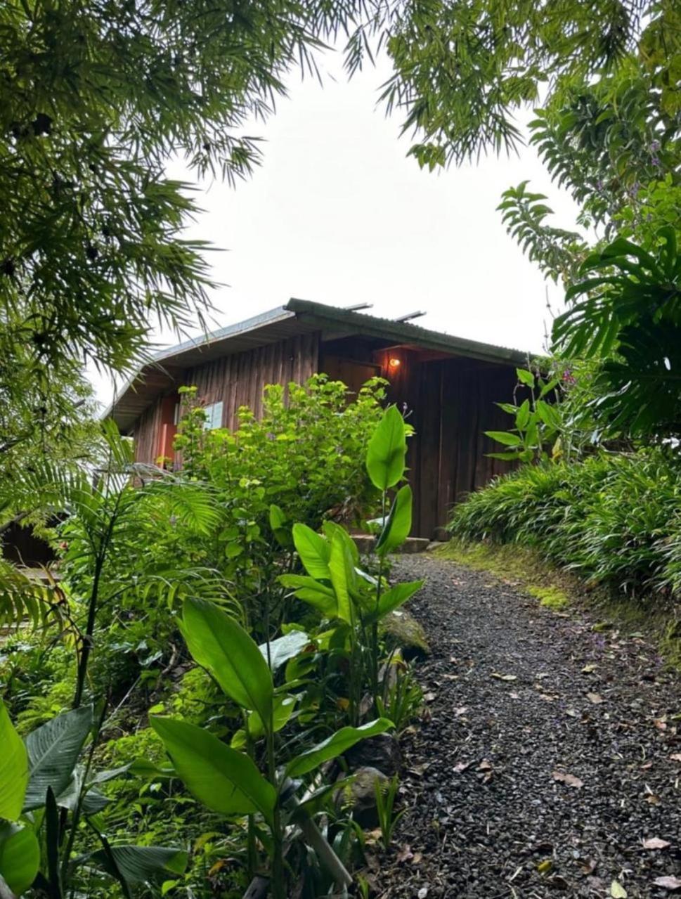 El Toucanet Lodge Copey Dış mekan fotoğraf