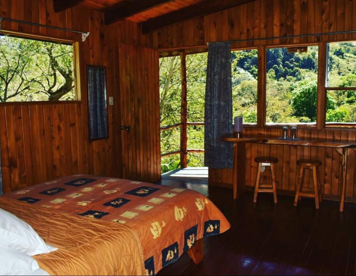 El Toucanet Lodge Copey Dış mekan fotoğraf