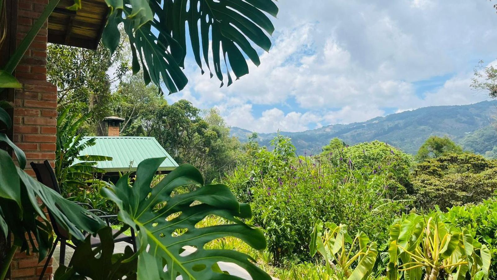 El Toucanet Lodge Copey Dış mekan fotoğraf