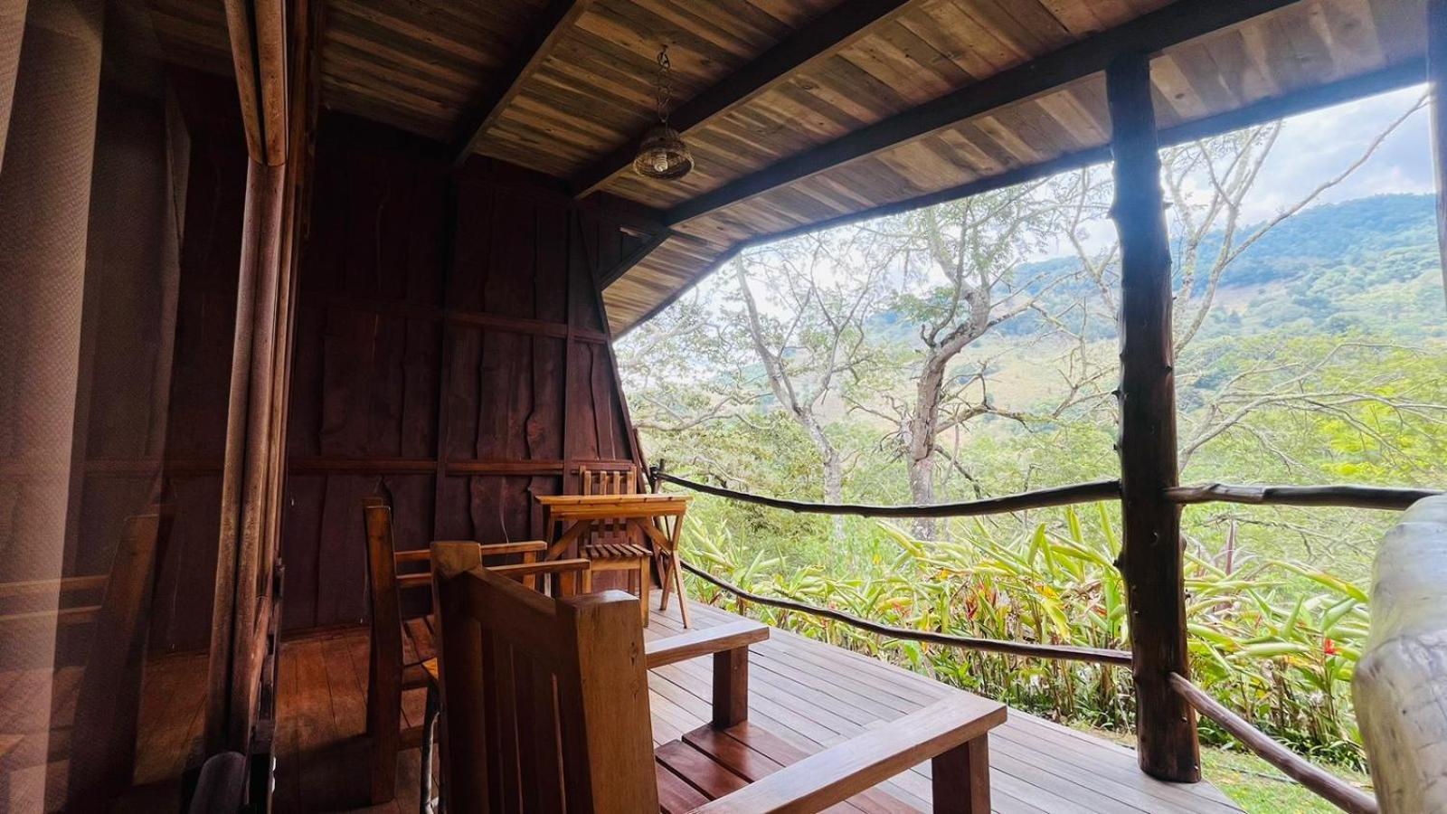 El Toucanet Lodge Copey Dış mekan fotoğraf