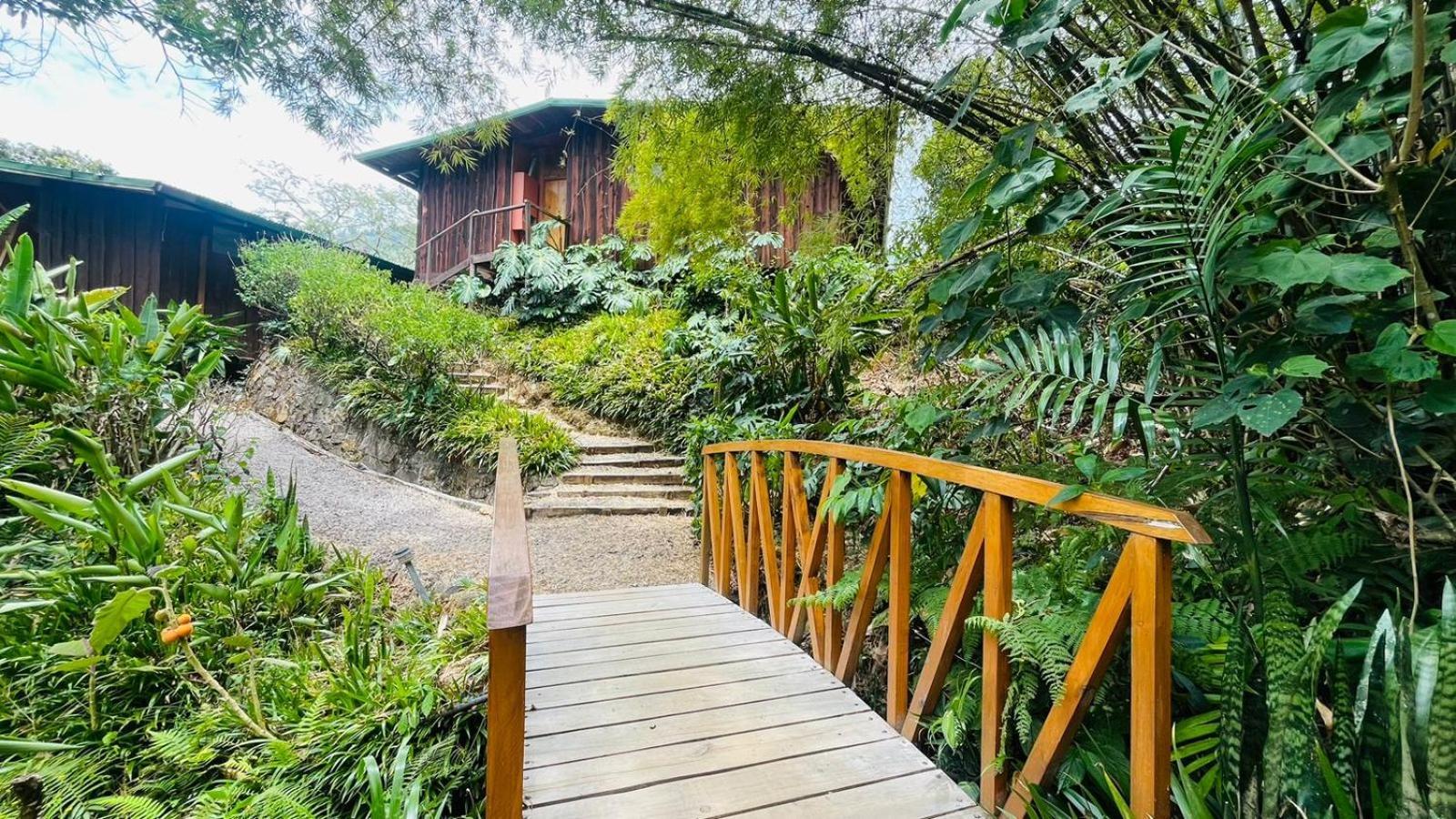 El Toucanet Lodge Copey Dış mekan fotoğraf